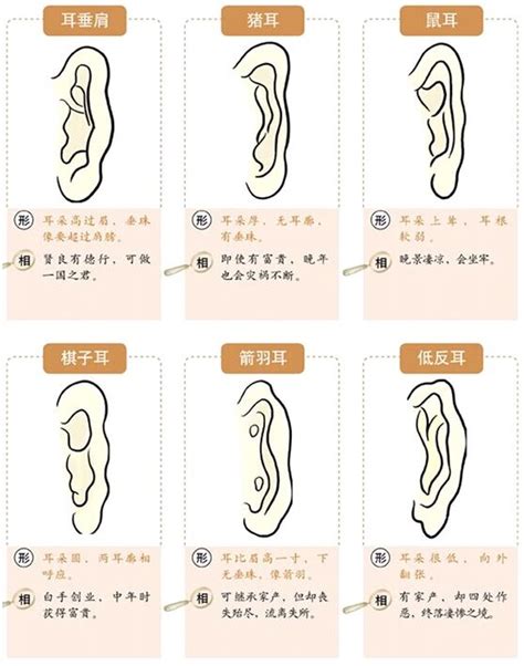 耳朵軟面相|面相耳朵图解【最详细版】 – 杨易德全集官网